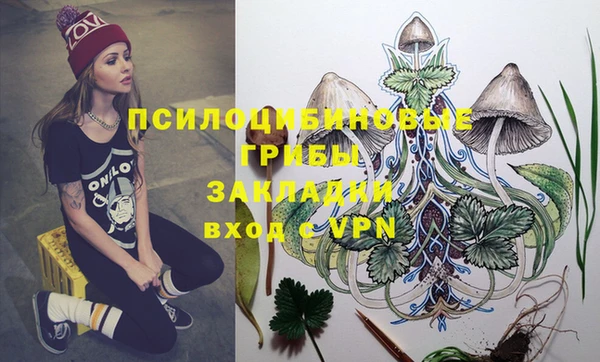метадон Алексеевка