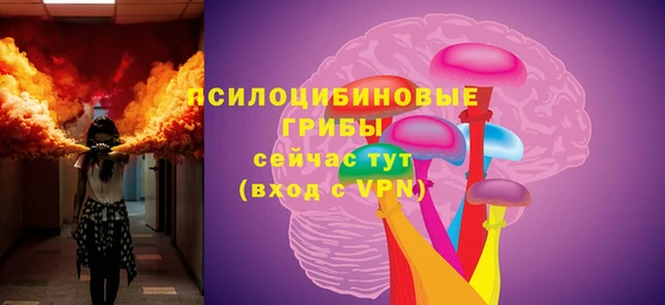 соль ск Алексин