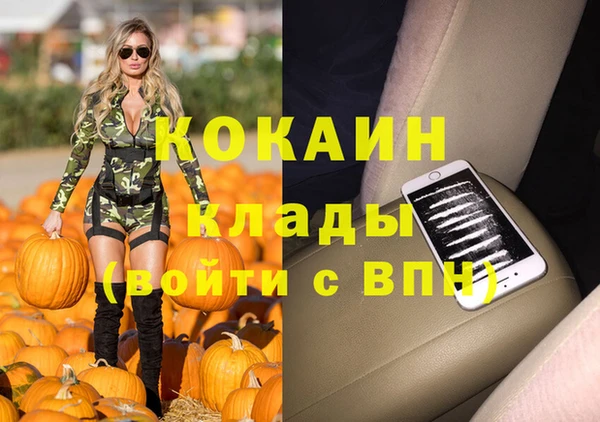 соль ск Алексин