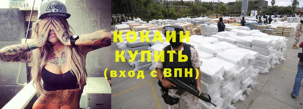 соль ск Алексин