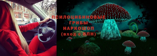 соль ск Алексин