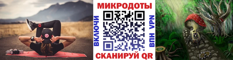 как найти   Беломорск  Псилоцибиновые грибы GOLDEN TEACHER 